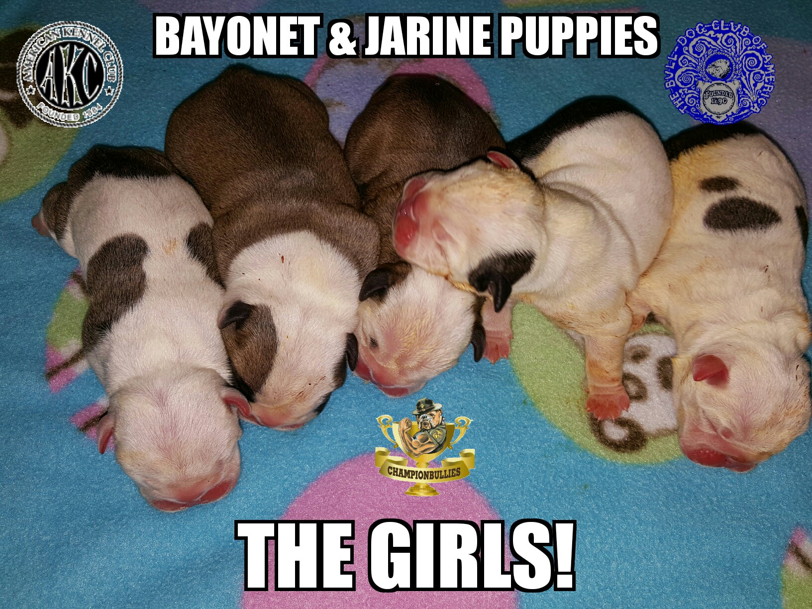 Bayonet&Jarine Girls day1